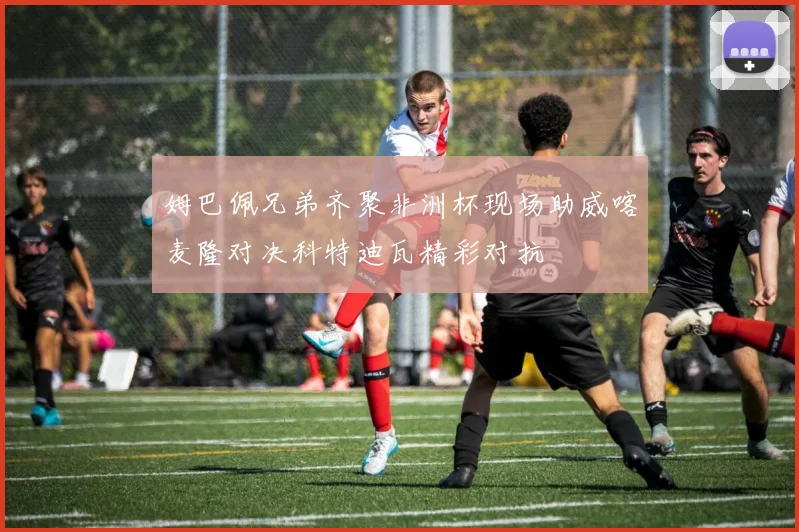姆巴佩兄弟齐聚非洲杯现场助威喀麦隆对决科特迪瓦精彩对抗