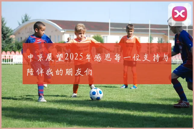 申京展望2025年感恩每一位支持与陪伴我的朋友们